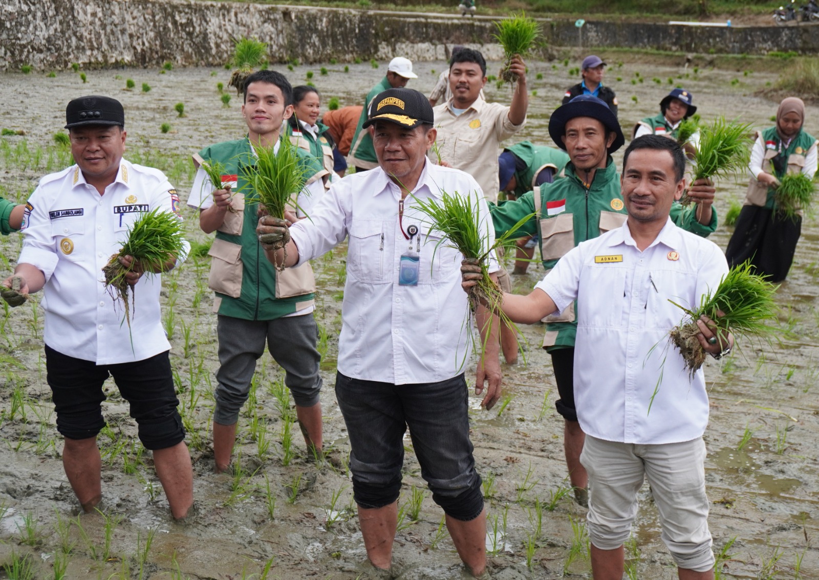 Pemkab Mamasa Dukung Petani, Bupati Welem Ingatkan Penyuluh Fasilitasi Bantuan Pupuk Gratis